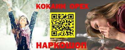 гидра Будённовск