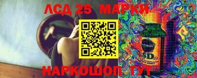 гидра Будённовск