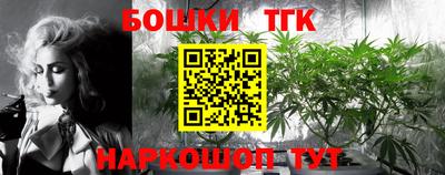 гидра Будённовск