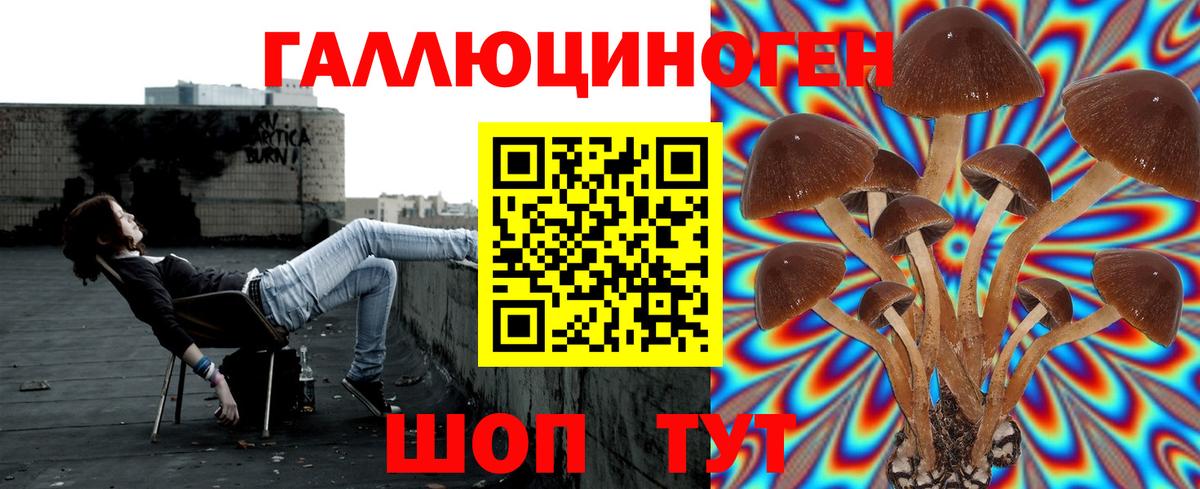 Мелеуз  Псилоцибиновые грибы GOLDEN TEACHER  наркота  Вход с VPN 